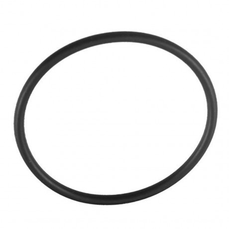 Кольцо уплотнительное для прозрачного корпуса FHPR1 НР 1/2", 3/4" OR N 88X4.0mm