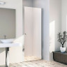 Дверь д/душевой распашная RADOMIR Делайт 70х200 стекло/прозр Easy Clean 6мм