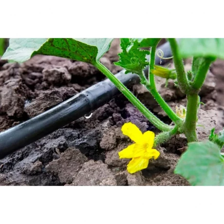 Труба подповерх кап/полива компенсир Irri-Go PC ND 1-4бар 2,0л/час толщ 1,1мм шаг 33см бухта 100м