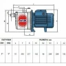 Насос PEDROLLO JCRm 2A